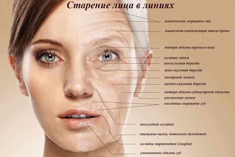 Атрофия кожи: симптомы, лечение, фото