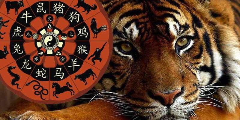 Каким будет год тигра 2022